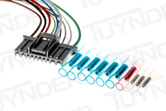 Bild von TNI-2850088